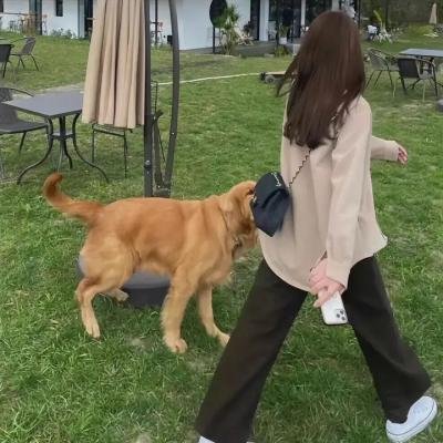 超时空宠爱